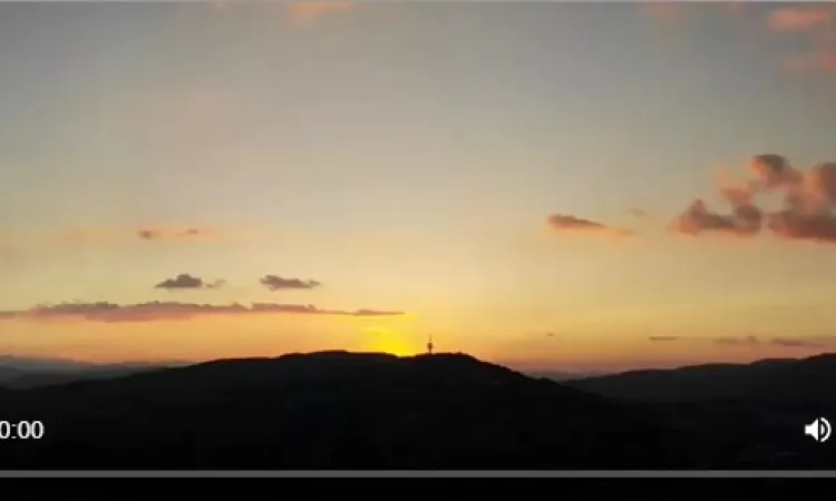 IUS ART GALLERY - summer online exhibitions and talks