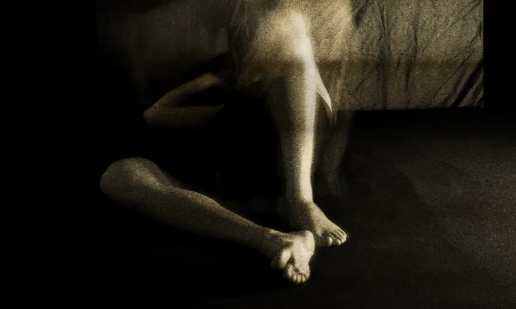 Prof. Dr. Amer Bakšić Works