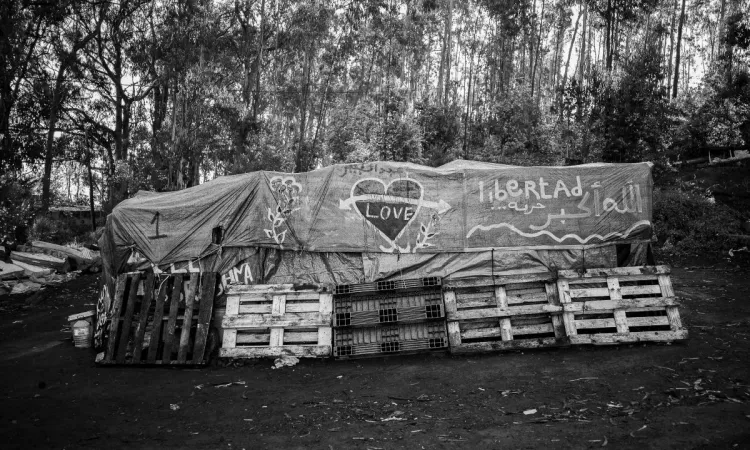 "Le Voyage" by Djamal Benmokhtar.