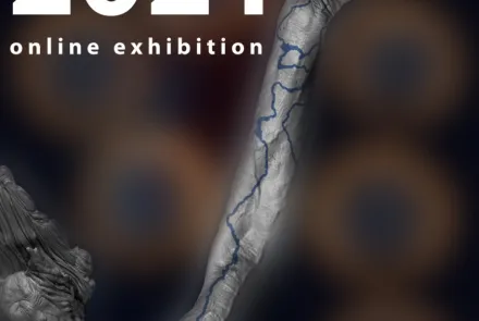 VACD Graduation Projects - izložba finalnih studentskih radova 2021