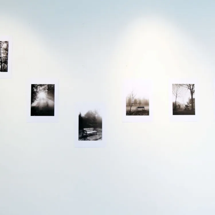 Izložba “Fragments” Berkaya Göçera