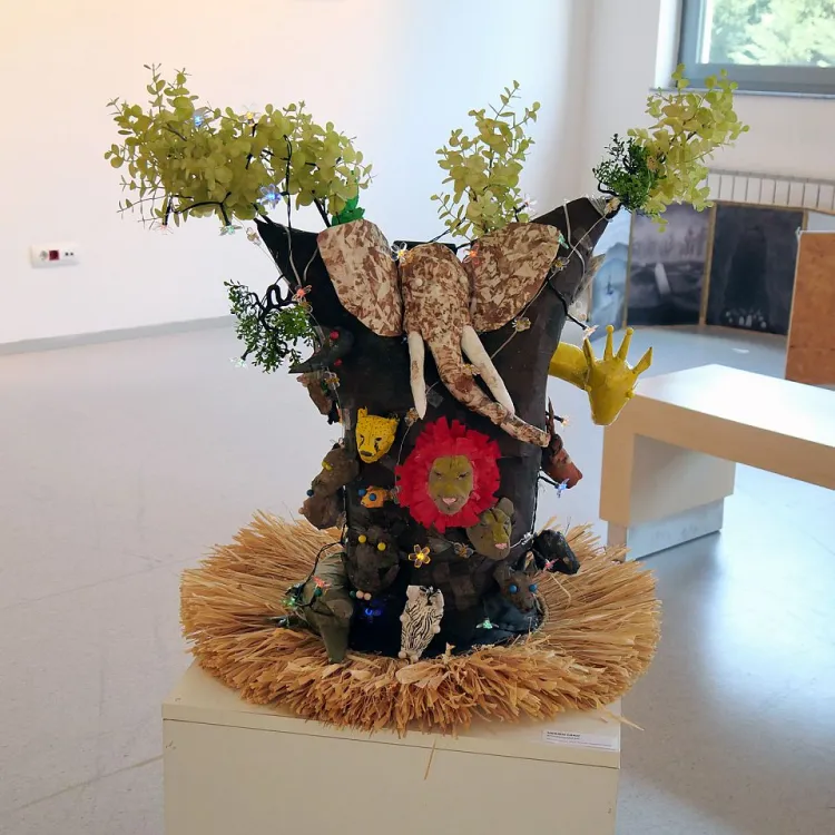 Proslava kreativnosti: Izložba diplomskih projekata iz vizualnih umjetnosti i dizajna na IUS-u