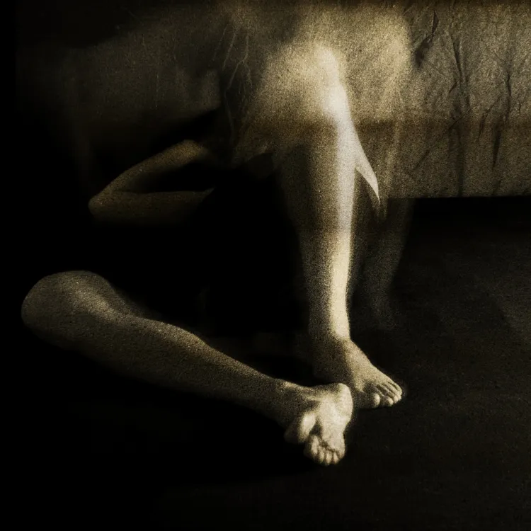 Prof. Dr. Amer Bakšić Works